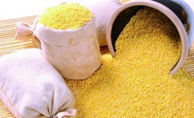 黑龍江這15種優(yōu)勢(shì)食用農(nóng)產(chǎn)品、食品抽檢達(dá)“國(guó)標(biāo)”