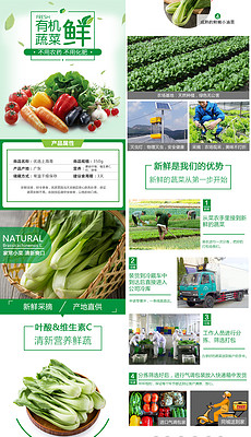 白菜詳情頁(yè)模板_白菜詳情頁(yè)設(shè)計(jì)素材下載_白菜詳情頁(yè)圖片素材