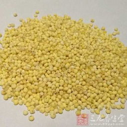 湖南推動(dòng)食品安全信用評(píng)價(jià)與行業(yè)準(zhǔn)入掛鉤