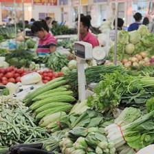 2016年我國將在部分省開展食用農(nóng)產(chǎn)品合格證管理試點