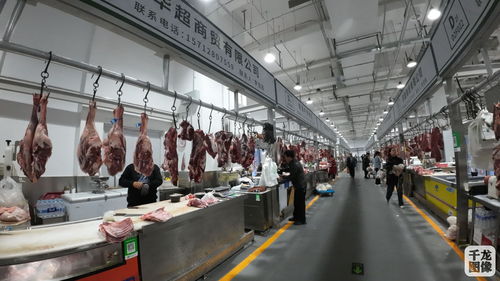 八里橋市場(chǎng)商戶(hù)入駐 新家 北京鮮活農(nóng)產(chǎn)品流通中心再添新活力