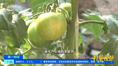 速看 農(nóng)業(yè)農(nóng)村部 全面推進(jìn)食用農(nóng)產(chǎn)品合格證制度