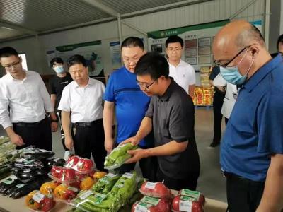 農業(yè)農村部來淄博調研農獸藥殘留超標治理工作情況
