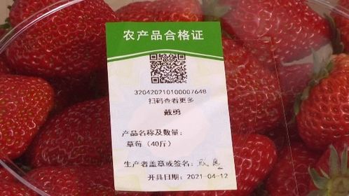 鄉(xiāng)村振興 江蘇常州 以 品質(zhì) 出 品牌 信息化助力打響農(nóng)產(chǎn)品品牌 常 字號