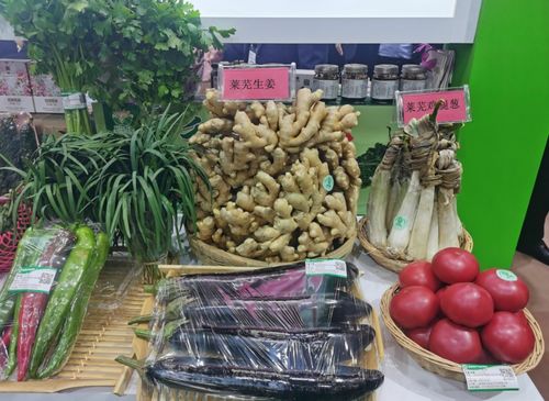 濟南市40余個優(yōu)質(zhì)產(chǎn)品亮相第二十二屆綠博會