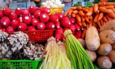 近期哪些蔬菜農(nóng)殘高 8月深圳食用農(nóng)產(chǎn)品質(zhì)量安全監(jiān)測(cè)結(jié)果出爐(4)