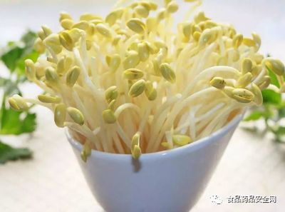 豆芽監(jiān)管職責(zé)分工;豆芽是屬于蔬菜(即食用農(nóng)產(chǎn)品)還是加工食品的定性爭(zhēng)議問題?僅供參考