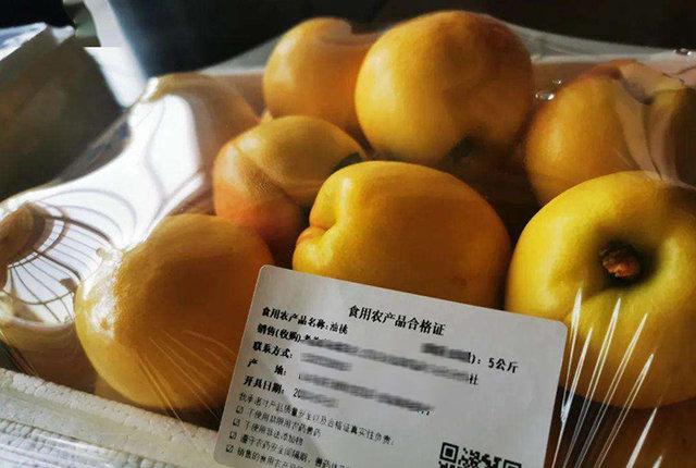 食用農(nóng)產(chǎn)品合格證試行,農(nóng)產(chǎn)品也有了“身份證”,可手機掃碼溯源