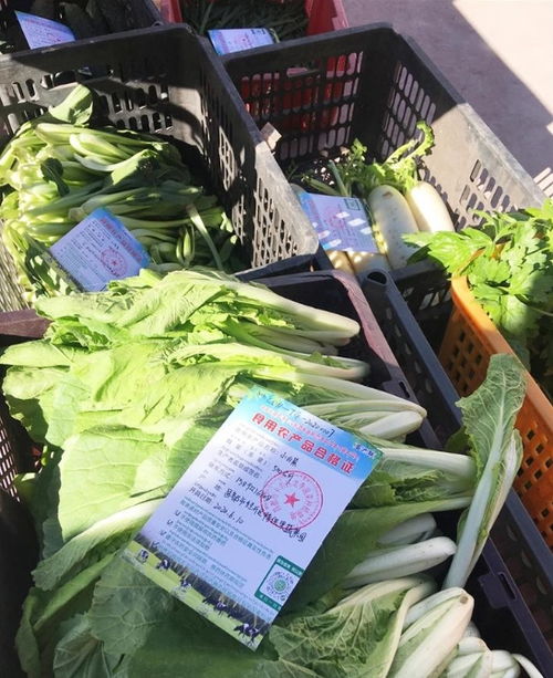 西藏已累計出具食用農(nóng)產(chǎn)品合格證4697張