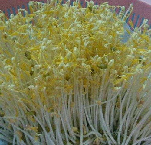 注意 海南這11批次芹菜 豆芽 海白螺等食用農(nóng)產(chǎn)品檢出農(nóng)獸藥殘留問題