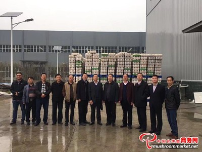 河南:國(guó)外客商及河南省領(lǐng)導(dǎo)一行參觀世紀(jì)香食用菌_圖片新聞_中國(guó)食用菌商務(wù)網(wǎng)